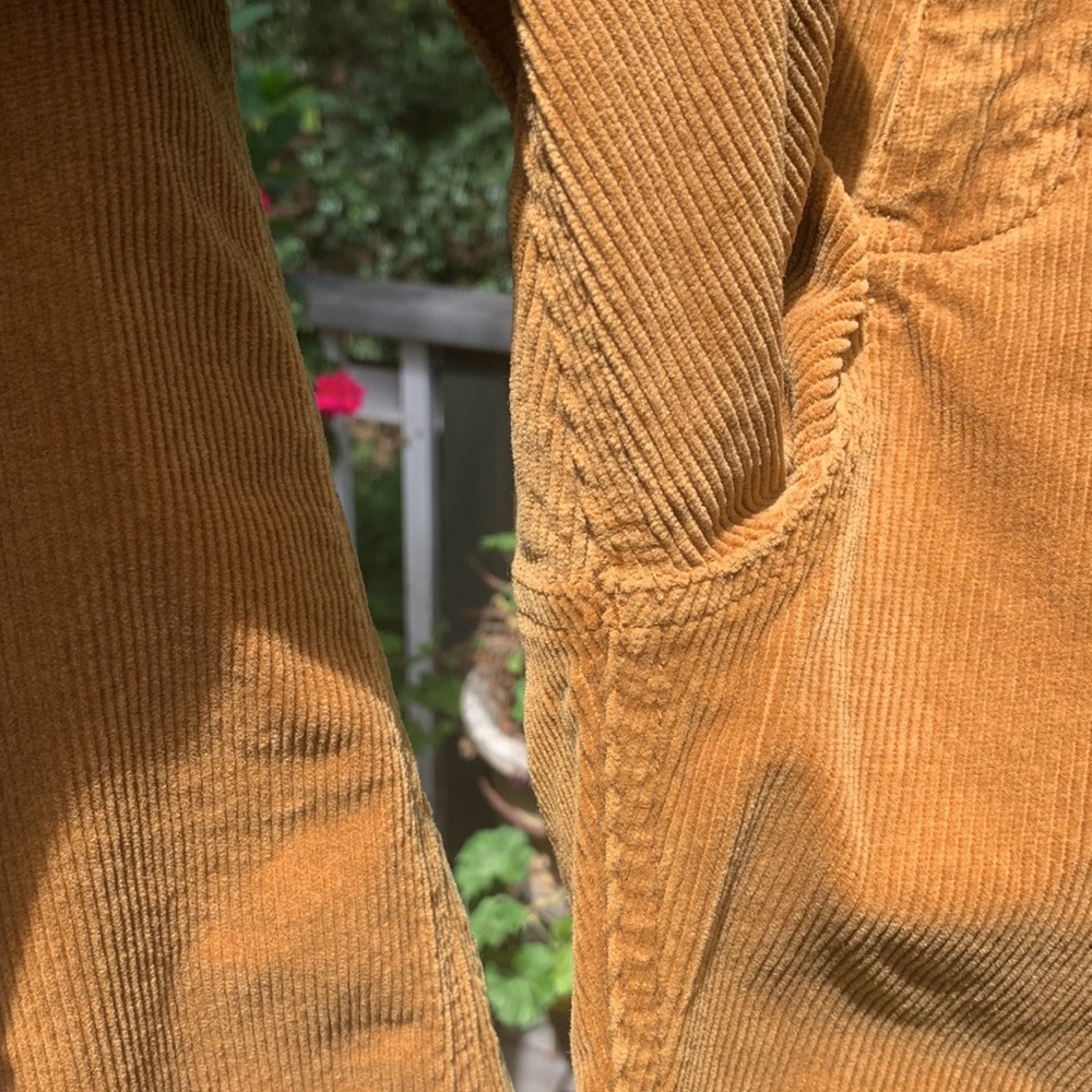 Anthropologie Pilcro and the Letterpress High-Rise Trouser Bootcut jeans - Picture 5 of 7